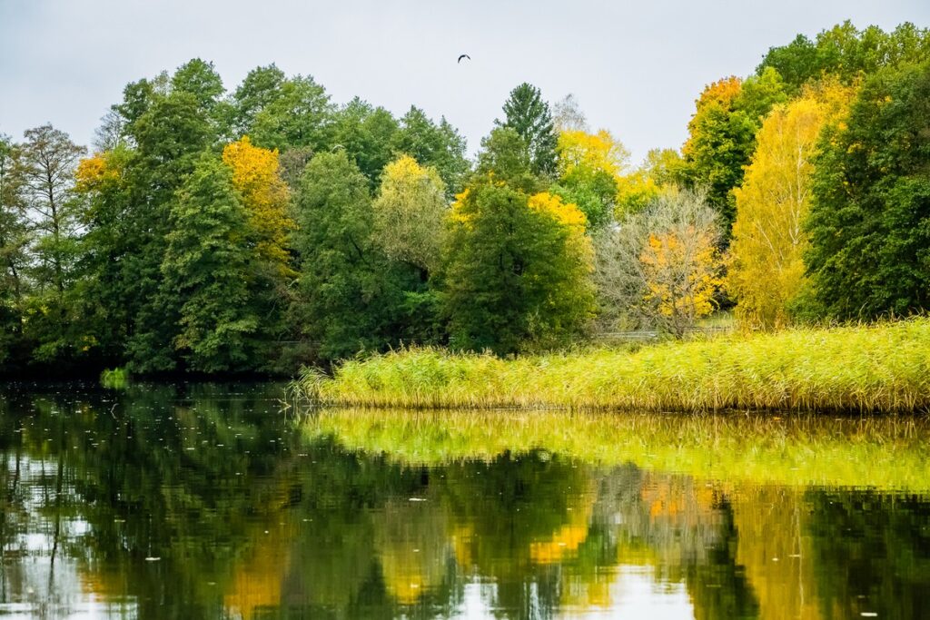 Wdecki Park Krajobrazowy, fot. Tomasz Czachorowski/eventphoto.com.pl dla UMWKP