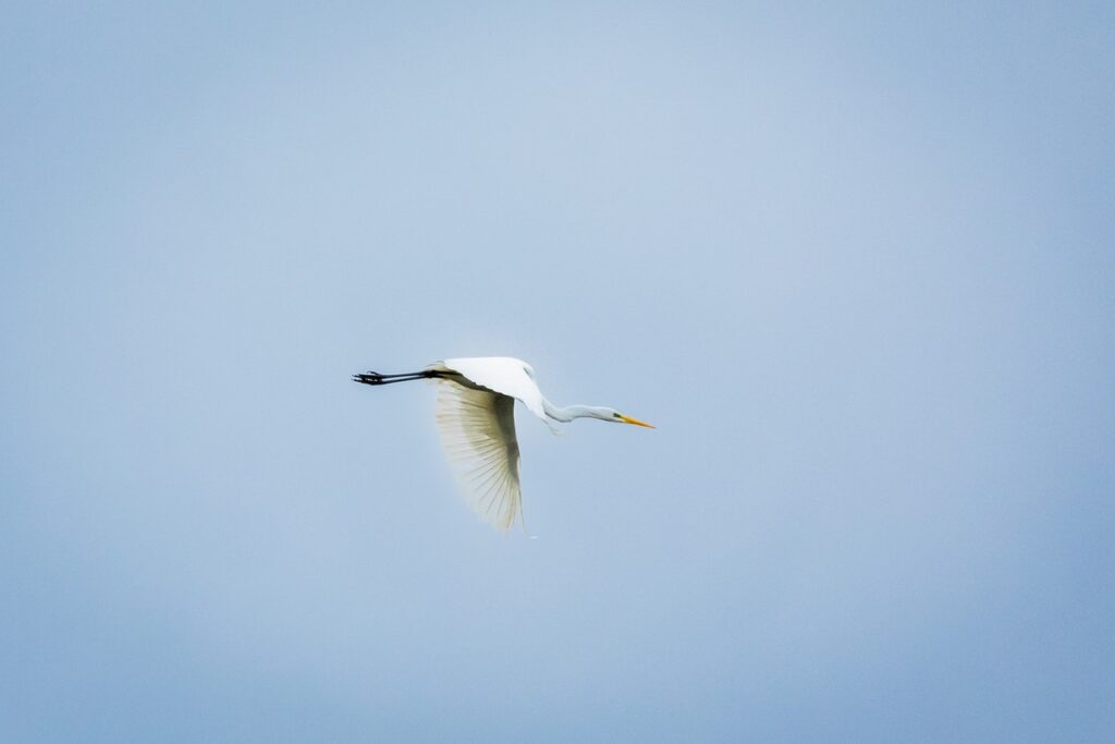 Wdecki Park Krajobrazowy, fot. Tomasz Czachorowski/eventphoto.com.pl dla UMWKP