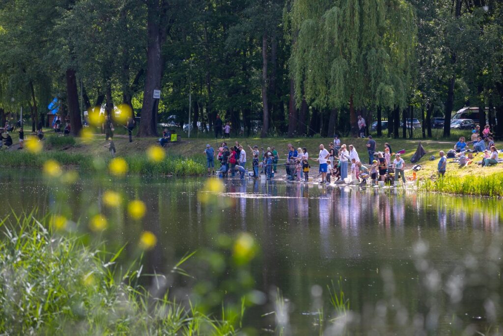 Zawody wędkarskie na toruńskiej Martówce, fot. Mikołaj Kuras dla UMWKP
