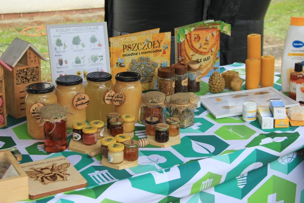 Piknik „Lato w parkach”, fot. Górznieńsko-Lidzbarski Park Krajobrazowy