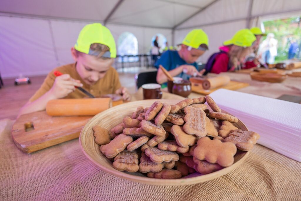 Piknik naukowy Astrobaza Toruń, fot. Mikołaj Kuras dla UMWKP