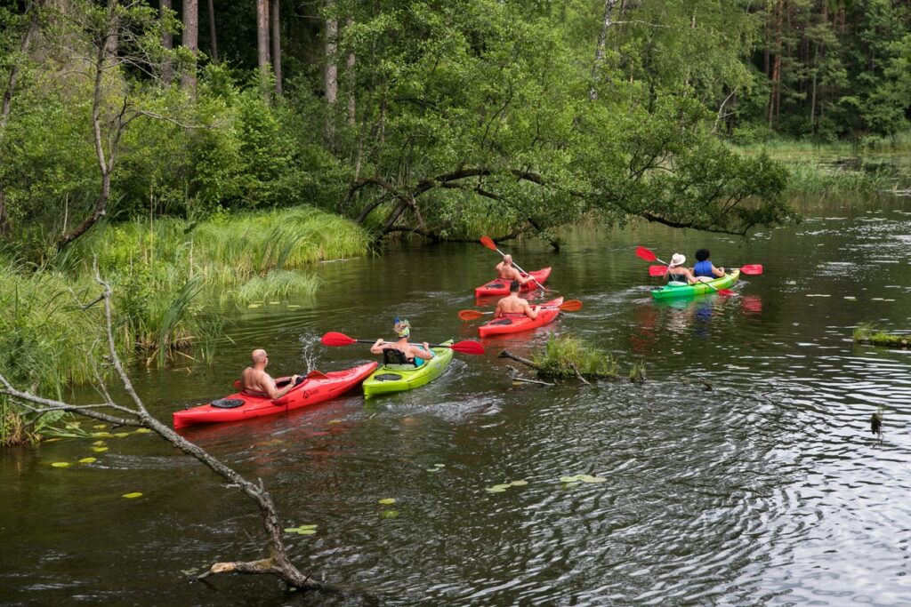 Brodnicki Landscape Park, photo: Andrzej Goiński UMWKP
