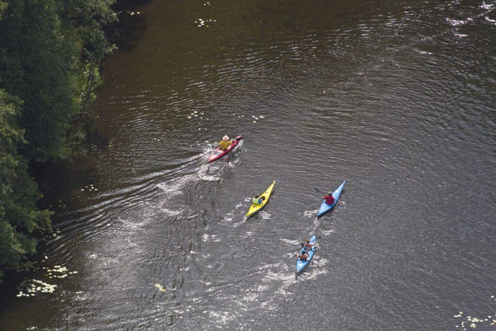 Brodnicki Landscape Park, photo: Daniel Pach for UMWKP