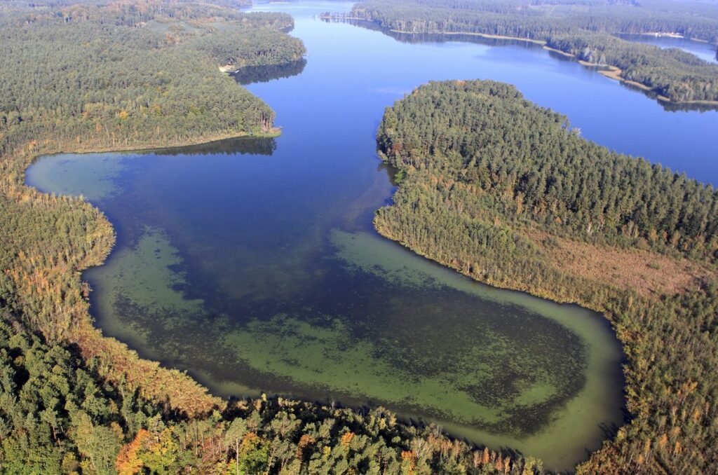 Brodnicki Landscape Park, photo: Daniel Pach for UMWKP