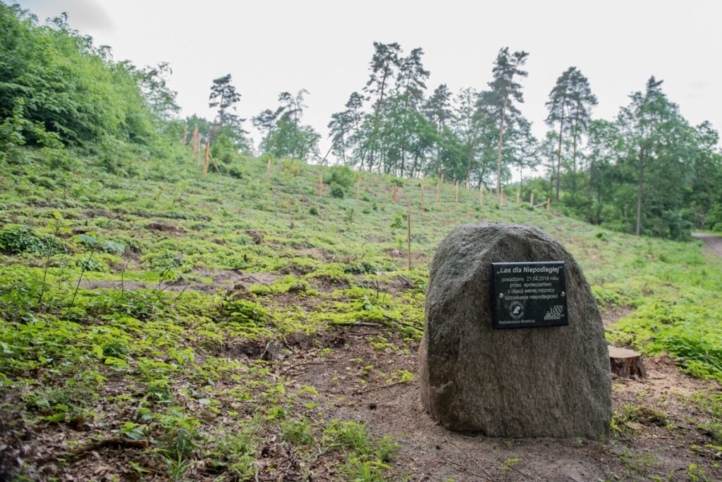 Brodnicki Landscape Park, photo: Łukasz Piecyk for UMWKP