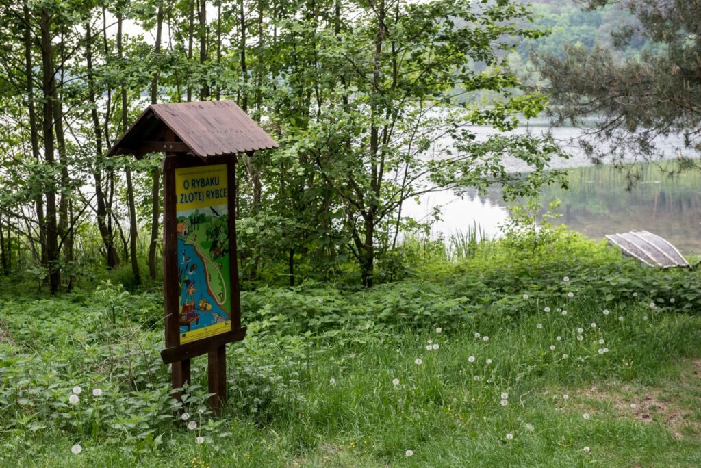 Brodnicki Landscape Park, photo: Łukasz Piecyk for UMWKP