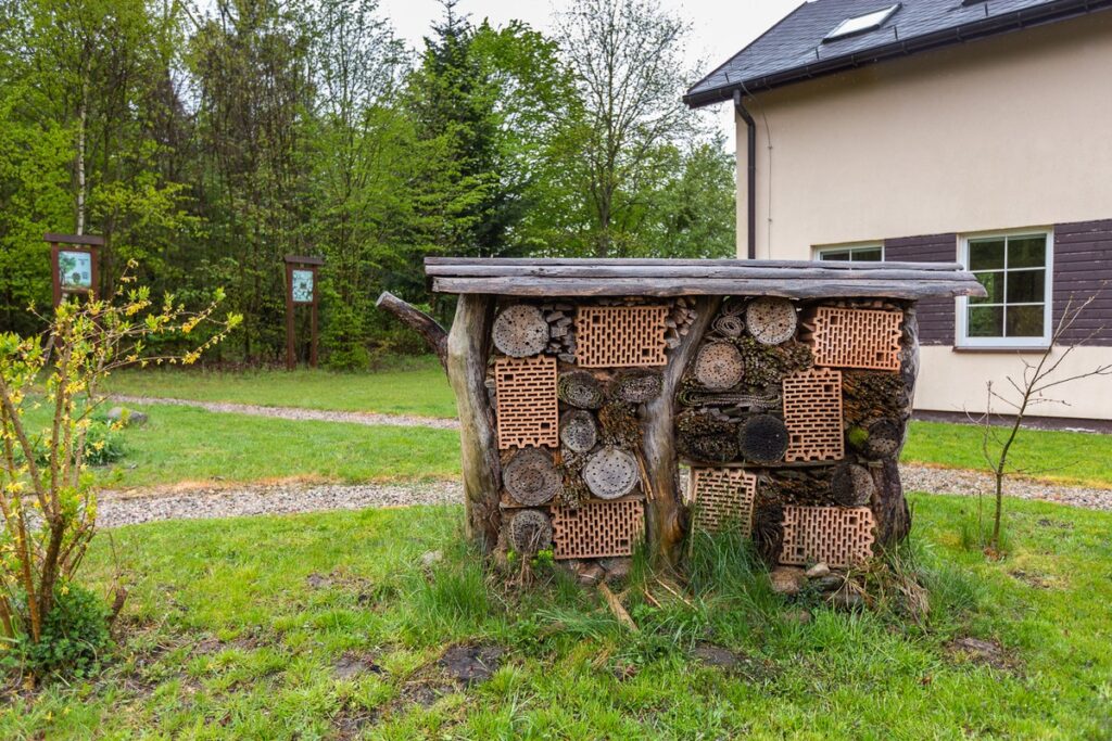 Miętowy Gaj Resort, photo: Szymon Zdziebło tarantoga.pl for UMWKP