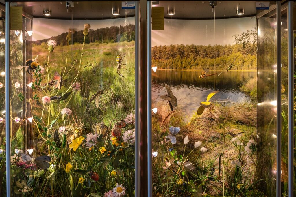 Miętowy Gaj Resort, photo: Szymon Zdziebło tarantoga.pl for UMWKP