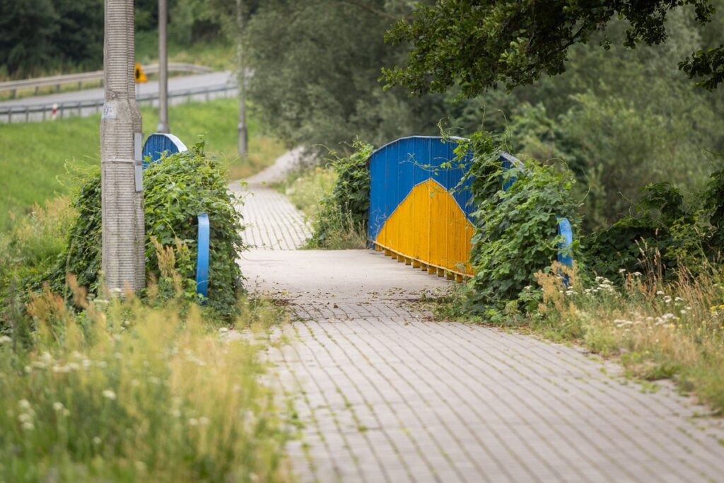 Modernization of Regional Road 268, photo by Szymon Zdziebło/tarantoga.pl for the UMWKP