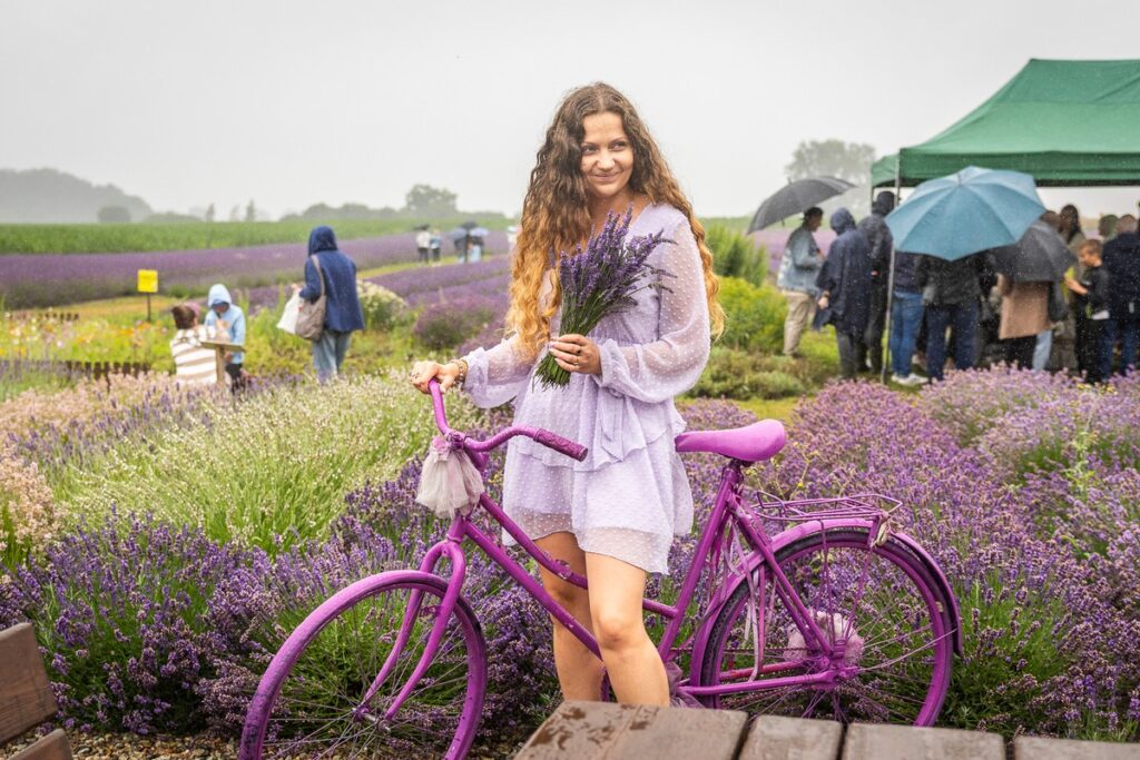 8th Lavender Festival in Kujawy, photo by Szymon Zdziebło, tarantoga.pl for UMWKP
