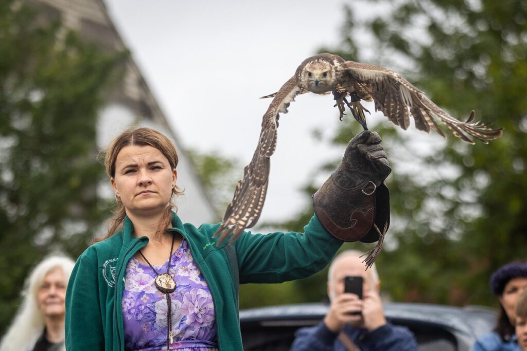 8th Lavender Festival in Kujawy, photo by Szymon Zdziebło, tarantoga.pl for UMWKP