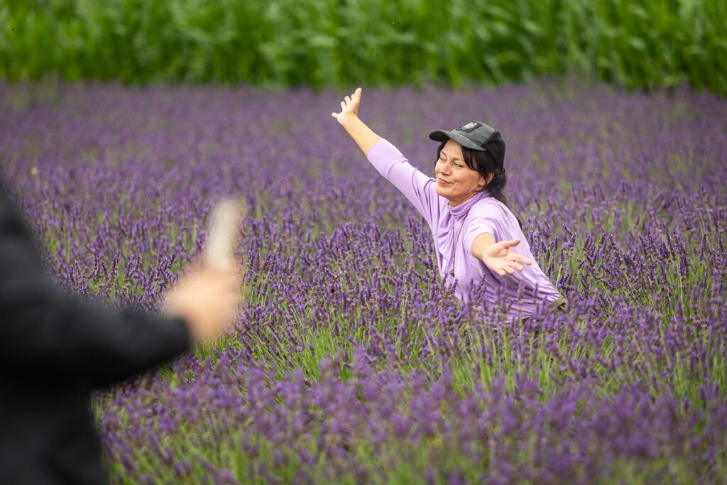 8th Lavender Festival in Kujawy, photo by Szymon Zdziebło, tarantoga.pl for UMWKP