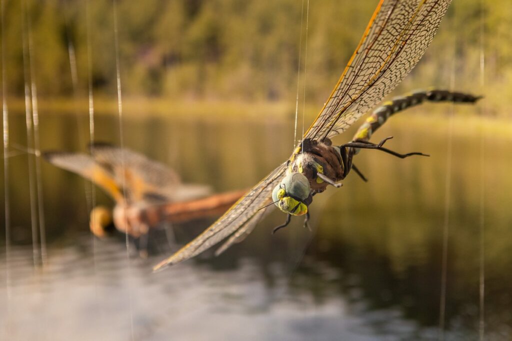 Miętowy Gaj Centre, photo by Szymon Zdziebło, takantoga.pl for UMWKP