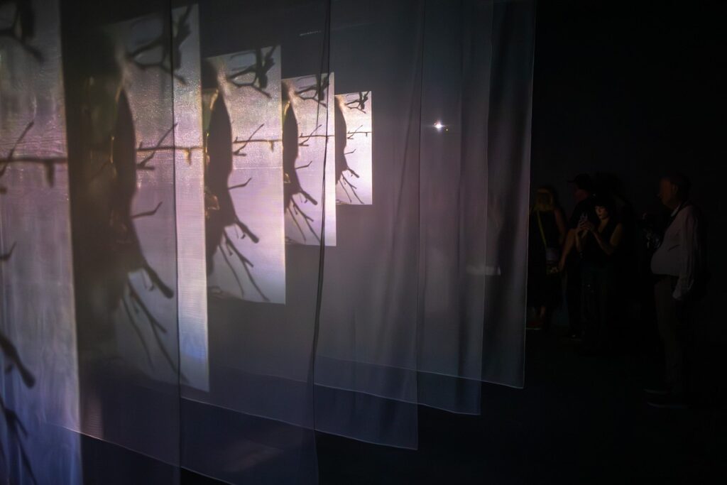 Wernisaż wystawy Billa Violi „Wizje czasu”, fot. Szymon Zdziebło/tarantoga.pl dla UMWKP