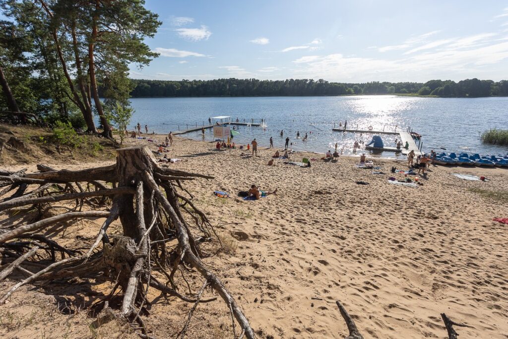 Gostynińsko-Włocławski Park Krajobrazowy. Fot. Mikołaj Kuras dla UMWKP