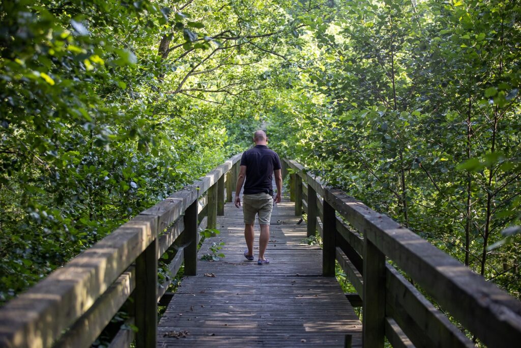 Gostynińsko-Włocławski Park Krajobrazowy. Fot. Mikołaj Kuras dla UMWKP