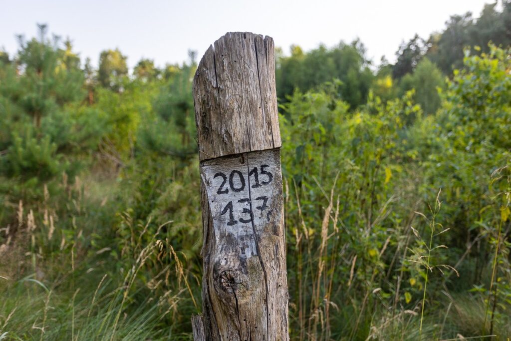 Gostynińsko-Włocławski Park Krajobrazowy. Fot. Mikołaj Kuras dla UMWKP