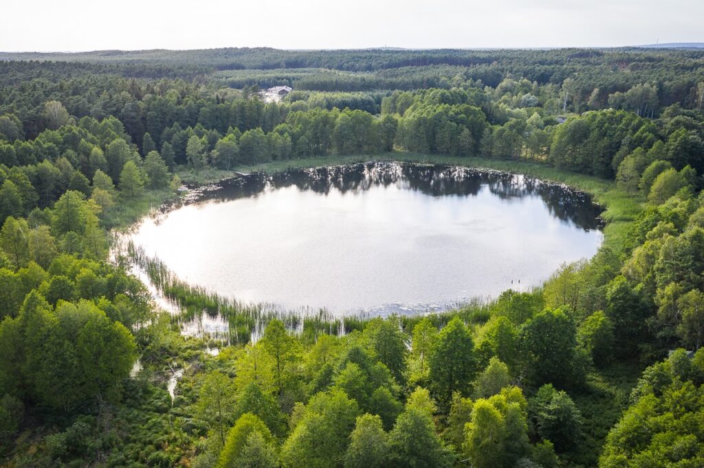 Gostynińsko-Włocławski Park Krajobrazowy. Fot. Mikołaj Kuras dla UMWKP