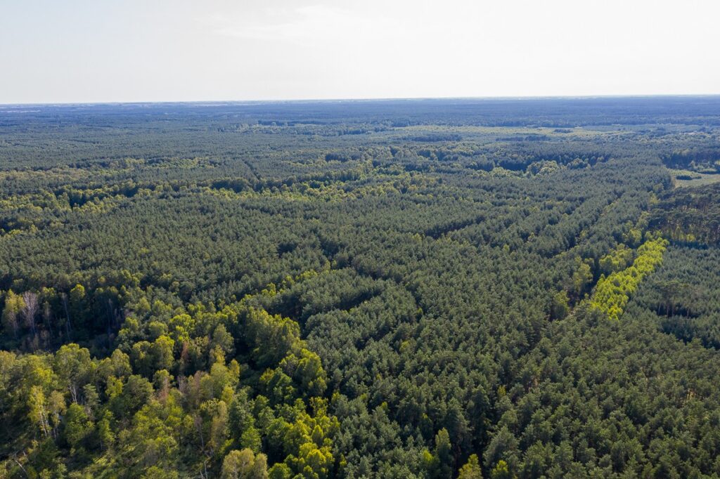Gostynińsko-Włocławski Park Krajobrazowy. Fot. Mikołaj Kuras dla UMWKP