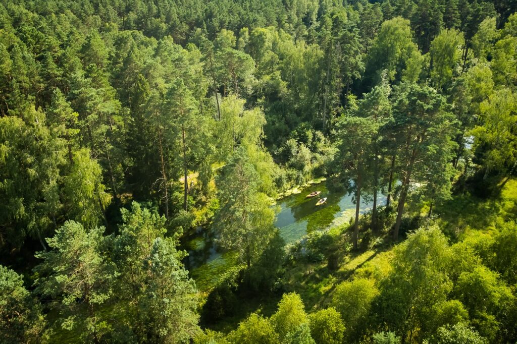 Tucholski Park Krajobrazowy, Fojutowo, fot. Tomasz Czachorowski eventphoto.com.pl dla UMWKP