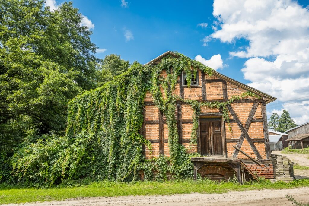 Tucholski Park Krajobrazowy, Młyn w Nadolniku, fot. Tomasz Czachorowski eventphoto.com.pl dla UMWKP