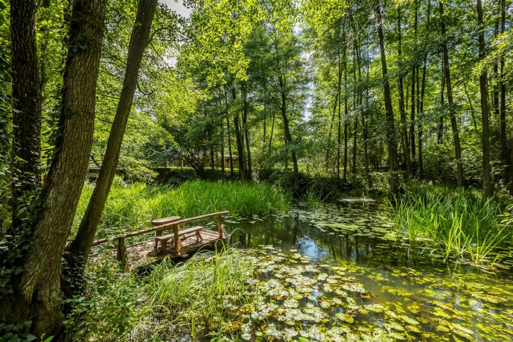 Tucholski Park Krajobrazowy, Młyn w Nadolniku, fot. Tomasz Czachorowski eventphoto.com.pl dla UMWKP