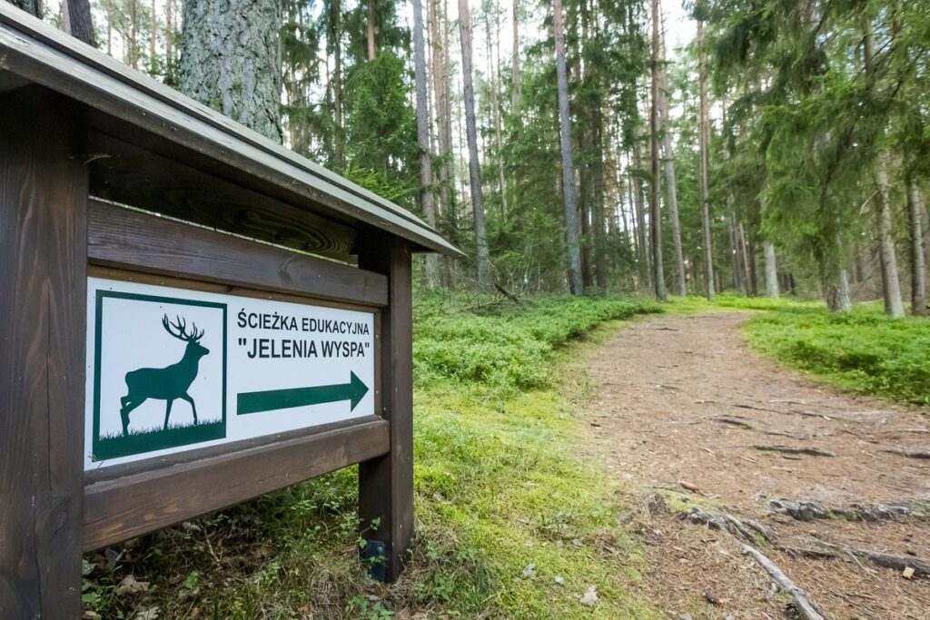 Tucholski Park Krajobrazowy, ścieżka edukacyjna Wyspa Jelenia, fot. Tomasz Czachorowski eventphoto.com.pl dla UMWKP