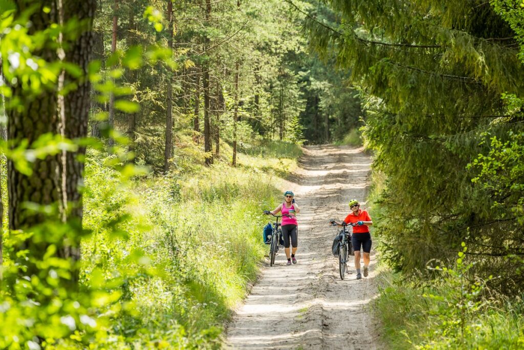 Tucholski Park Krajobrazowy, ścieżka edukacyjna Wyspa Jelenia, fot. Tomasz Czachorowski eventphoto.com.pl dla UMWKP