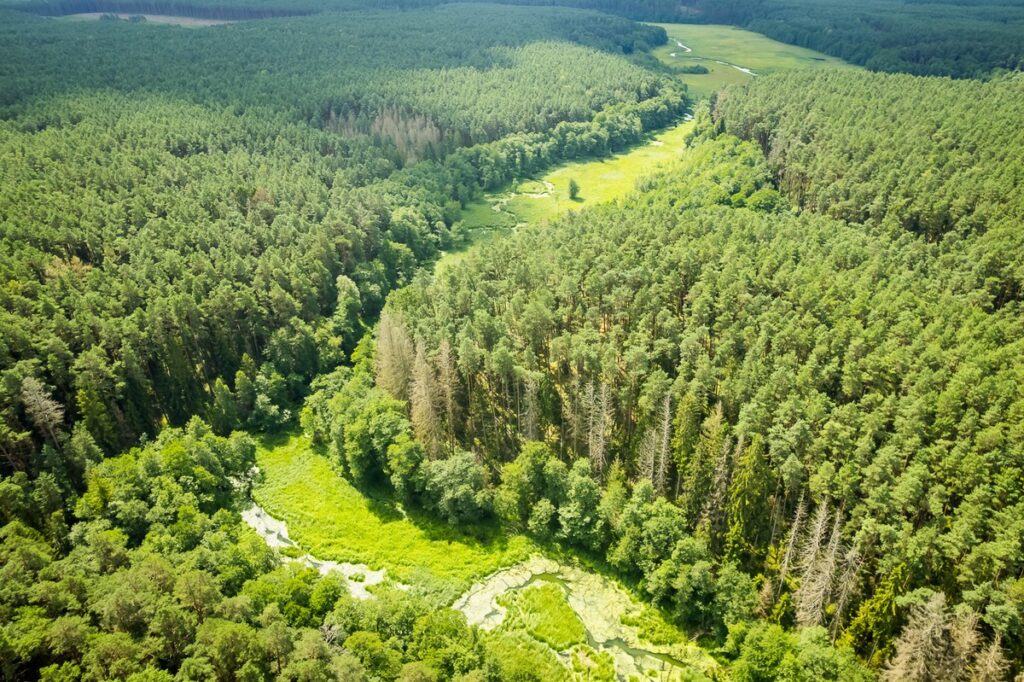 Tucholski Park Krajobrazowy, ścieżka edukacyjna Wyspa Jelenia, fot. Tomasz Czachorowski eventphoto.com.pl dla UMWKP
