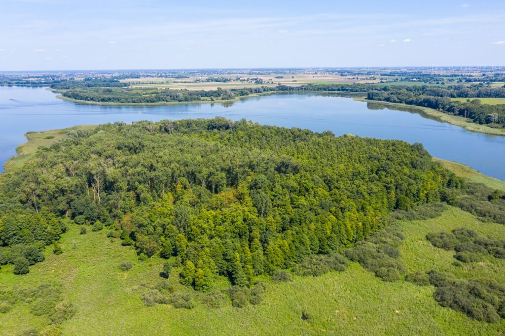 Nadgoplański Park Tysiąclecia, Fot. Mikołaj Kuras dla UMWKP Nadgoplański Millennium Landscape Park, photo by Mikołaj Kuras for the UMWKP