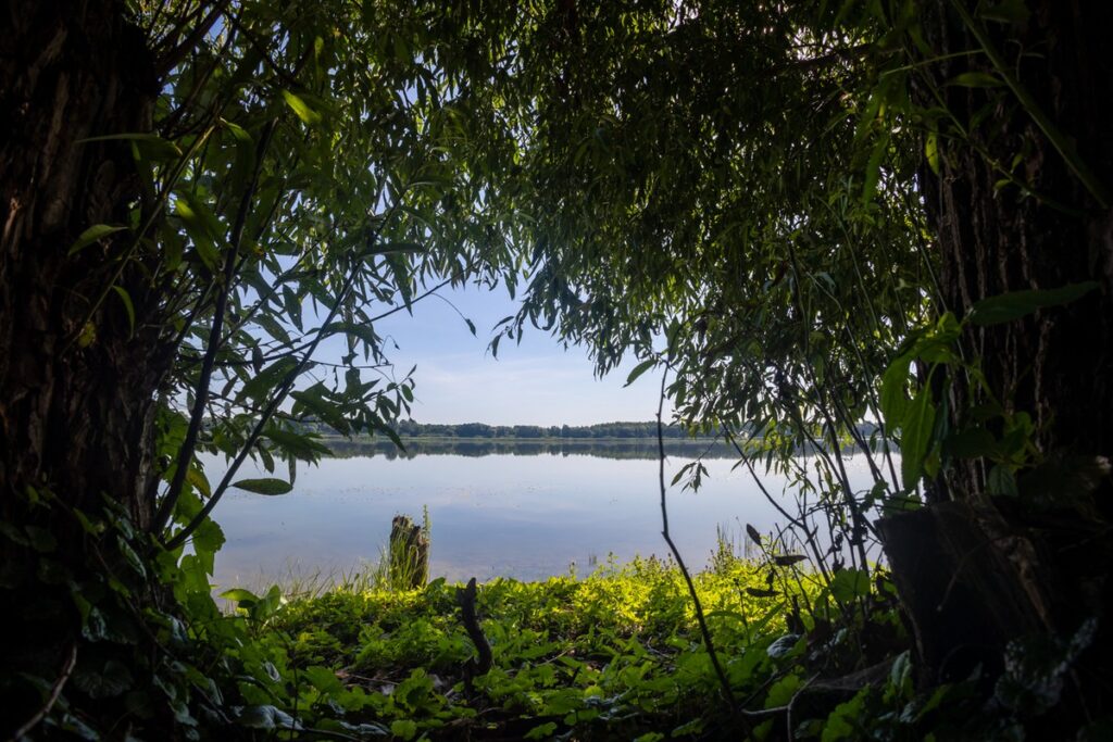 Nadgoplański Millennium Landscape Park, photo by Mikołaj Kuras for the UMWKP