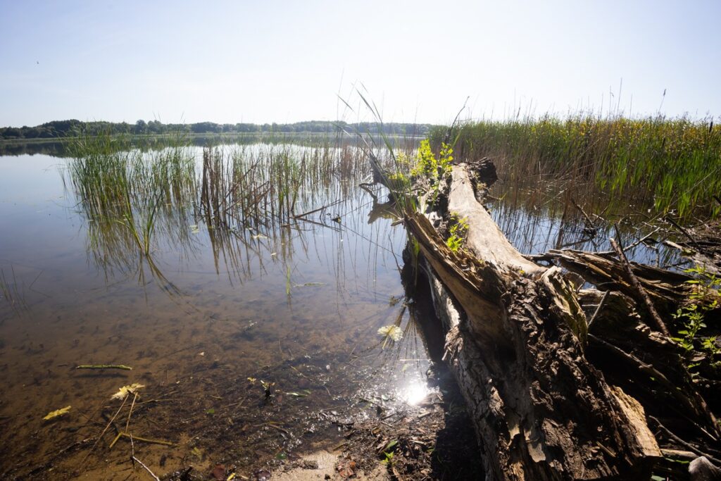 Nadgoplański Park Tysiąclecia, Fot. Mikołaj Kuras dla UMWKP Nadgoplański Millennium Landscape Park, photo by Mikołaj Kuras for the UMWKP