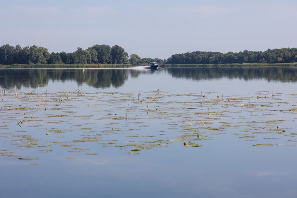 Nadgoplański Park Tysiąclecia, Fot. Mikołaj Kuras dla UMWKP Nadgoplański Millennium Landscape Park, photo by Mikołaj Kuras for the UMWKP
