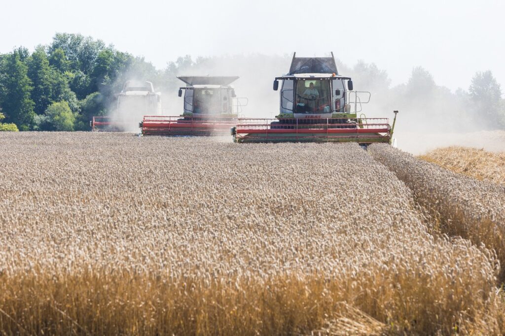 Nadgoplański Park Tysiąclecia, Fot. Mikołaj Kuras dla UMWKP Nadgoplański Millennium Landscape Park, photo by Mikołaj Kuras for the UMWKP