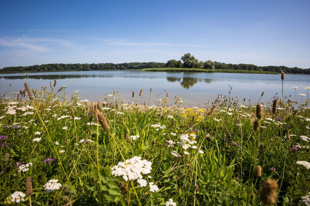 Nadgoplański Park Tysiąclecia, Fot. Mikołaj Kuras dla UMWKP Nadgoplański Millennium Landscape Park, photo by Mikołaj Kuras for the UMWKP