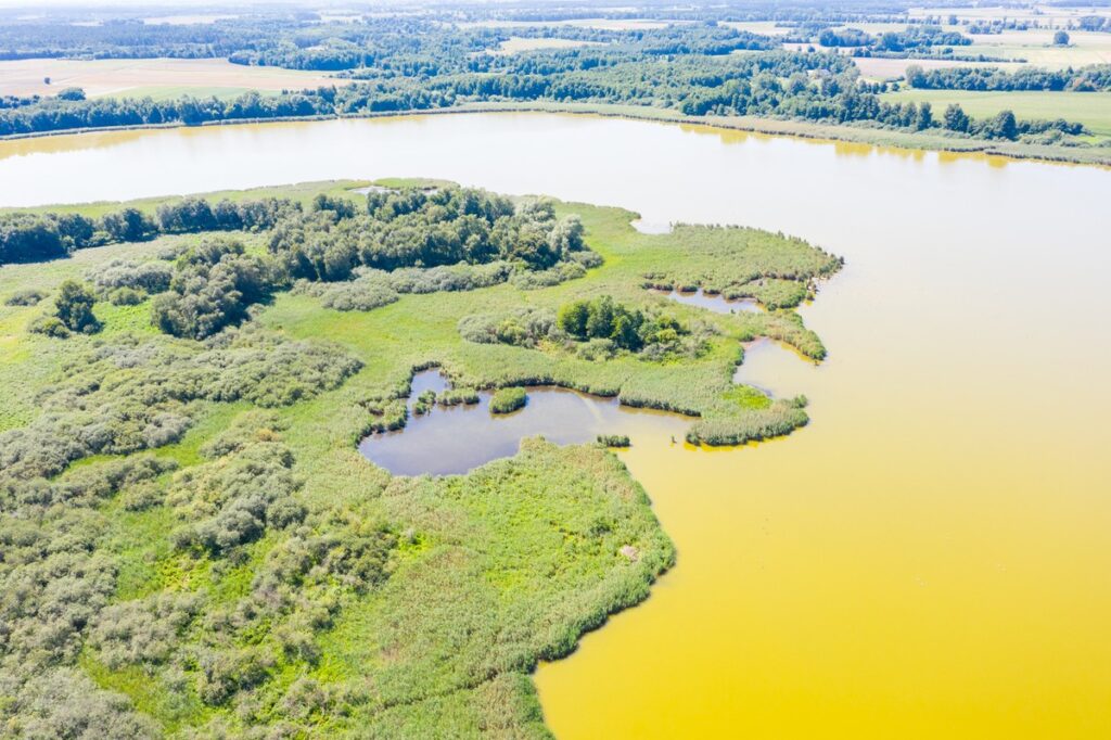 Nadgoplański Park Tysiąclecia, Fot. Mikołaj Kuras dla UMWKP Nadgoplański Millennium Landscape Park, photo by Mikołaj Kuras for the UMWKP