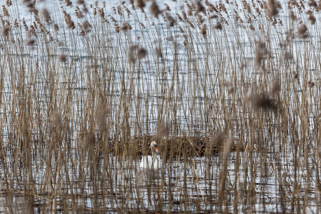Krajeński Park Krajobrazowy, fot. Filip Kowalkowski dla UMWKP