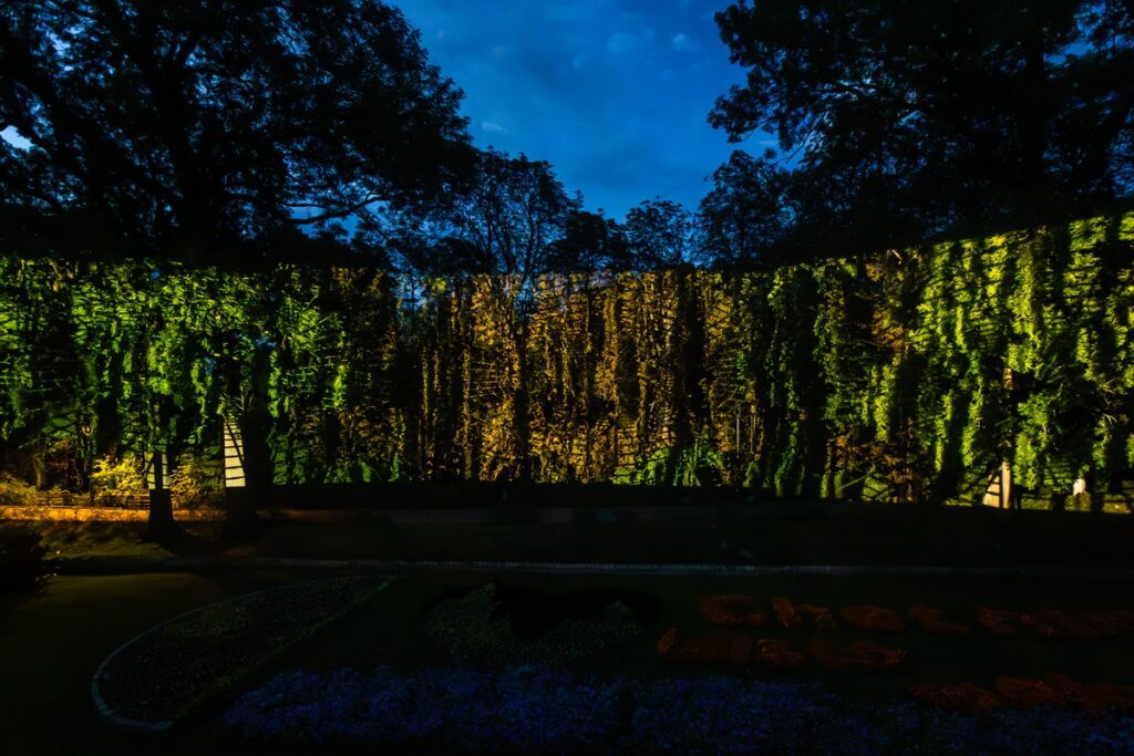 Festiwal Światłoczuły w Chełmnie, fot. Szymon Zdziebło/tarantoga.pl dla UMWKP