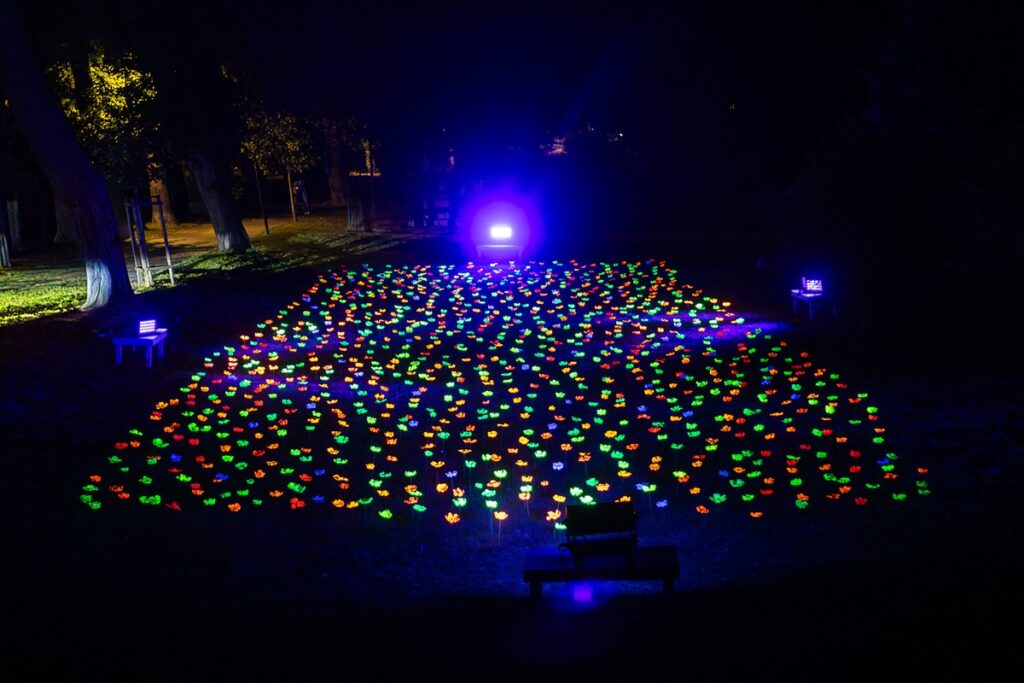 Festiwal Światłoczuły w Chełmnie, fot. Szymon Zdziebło/tarantoga.pl dla UMWKP