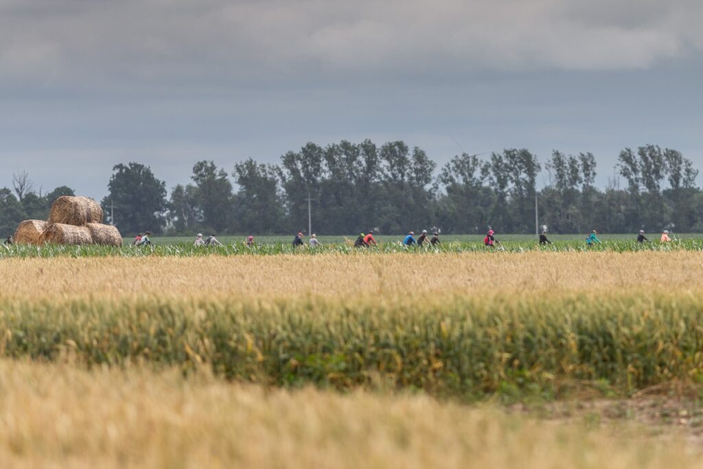 Górznieńsko-Lidzbarski Park Krajobrazowy, fot. Szymon Zdziebło/tarantoga.pl dla UMWKP