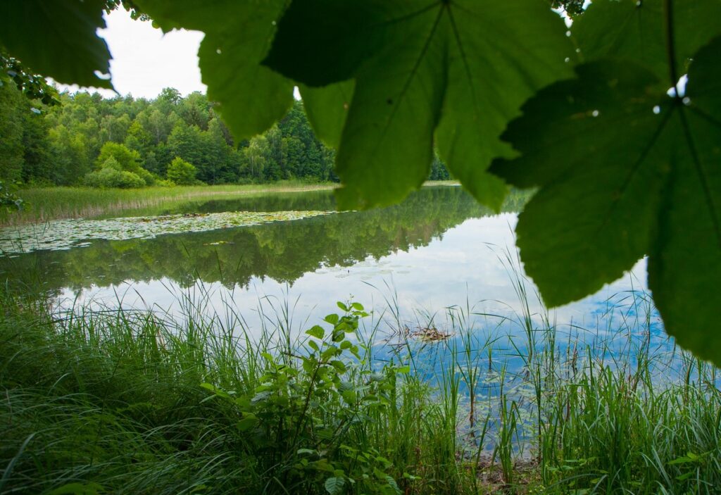 Górznieńsko-Lidzbarski Park Krajobrazowy, fot. Andrzej Goiński/UMWKP