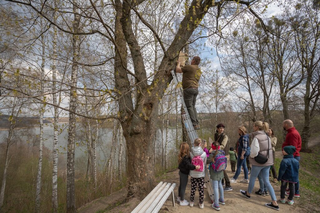 Górznieńsko-Lidzbarski Park Krajobrazowy, fot. Mikołaj Kuras dla UMWKP