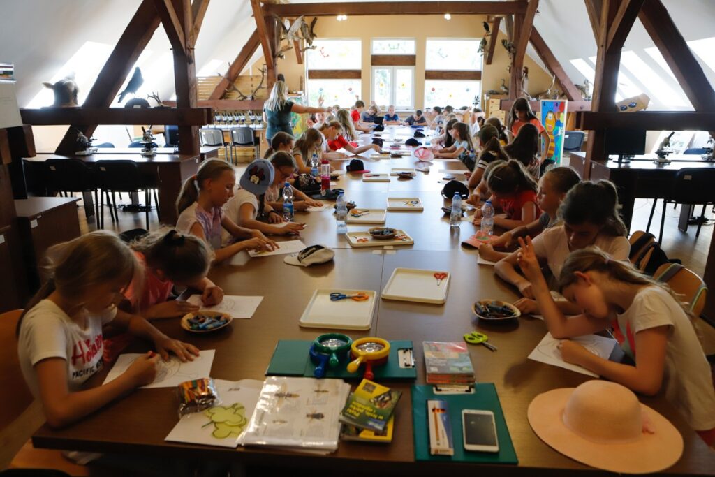 Górznieńsko-Lidzbarski Park Krajobrazowy, fot. Mikołaj Kuras dla UMWKP