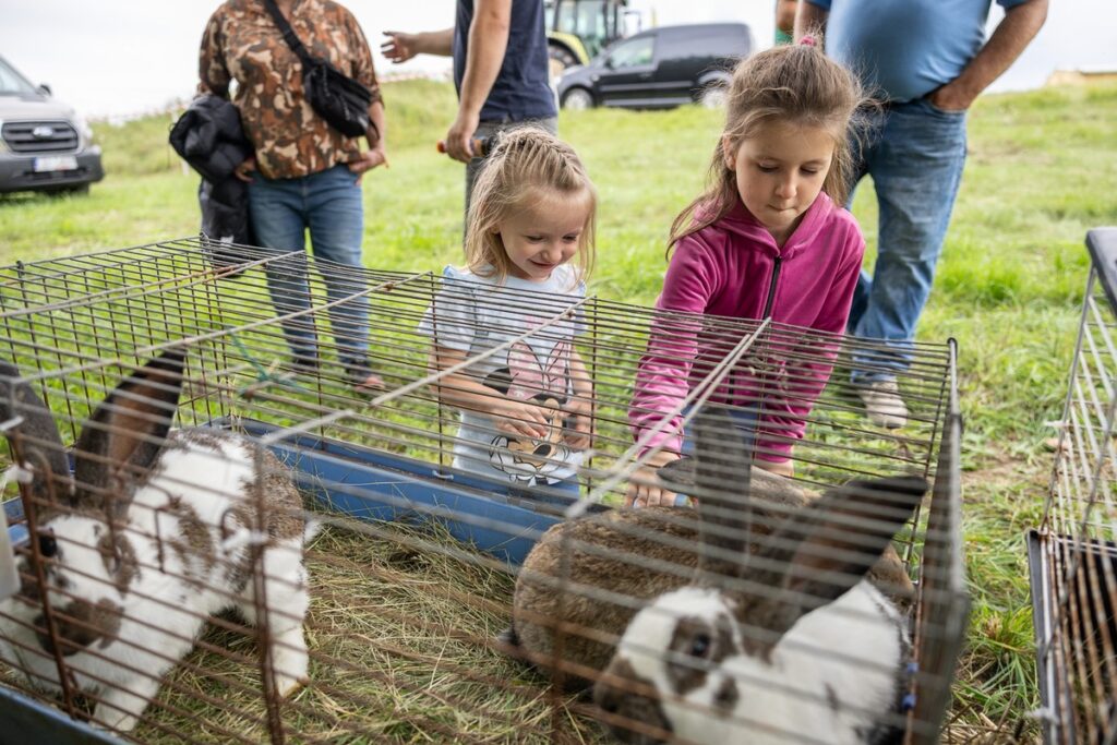 2nd Festival of the Traditional Polish Countryside in Borówno, photo by Szymon Zdziebło, tarantoga.pl for UMWKP