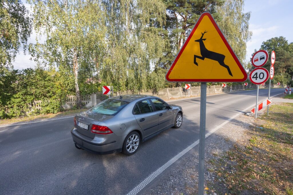Regional Road 258 Osiek–Dzikowo, photo by Mikołaj Kuras for the UMWKP
