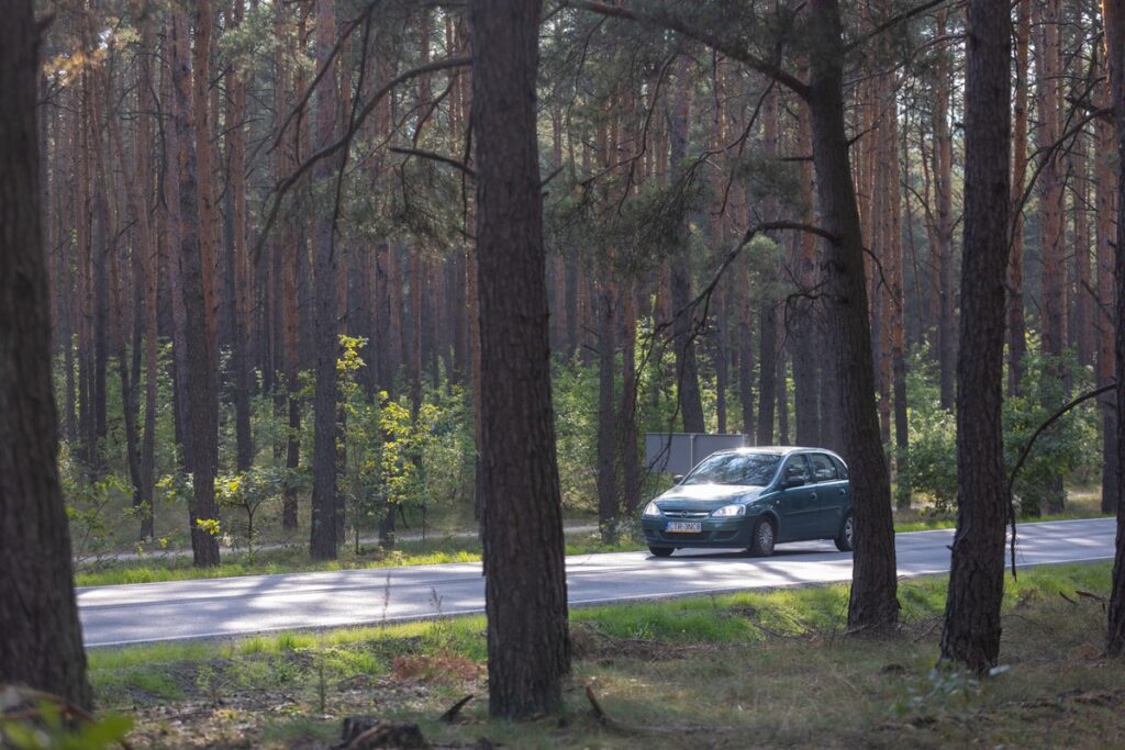 Regional Road 258 Osiek–Dzikowo, photo by Mikołaj Kuras for the UMWKP