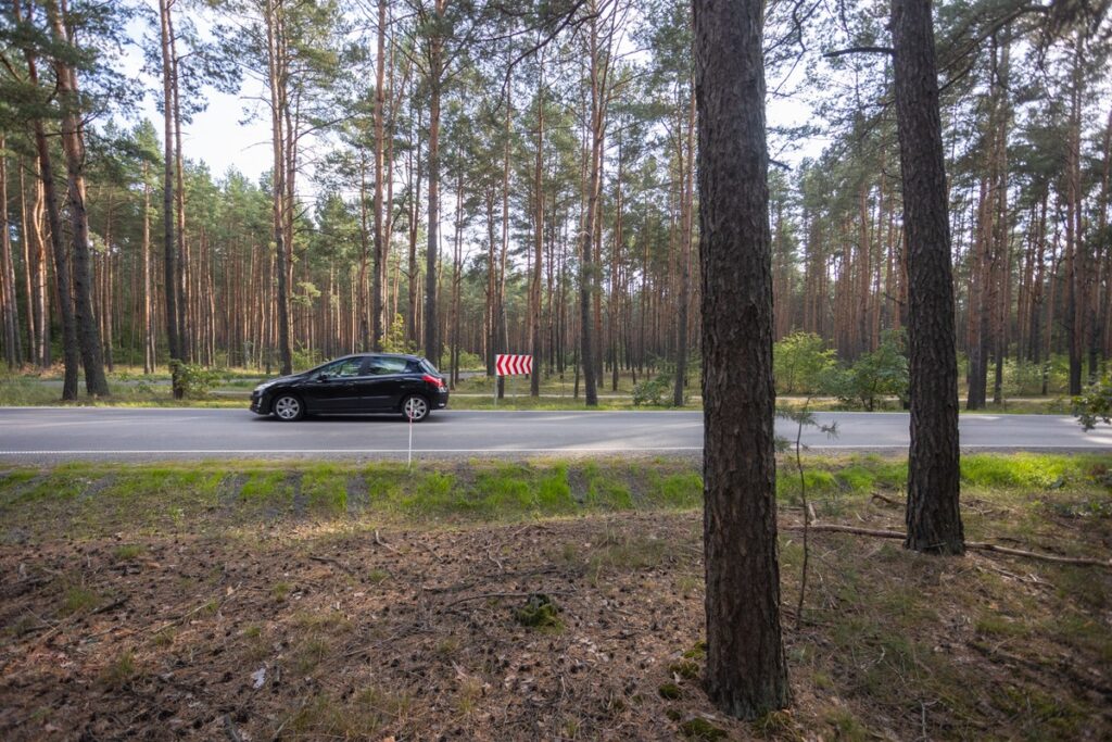 Regional Road 258 Osiek–Dzikowo, photo by Mikołaj Kuras for the UMWKP