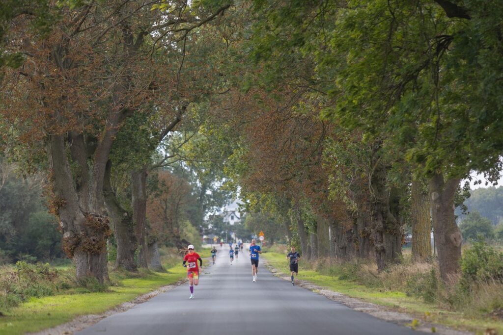 III Nadgoplański Bieg Dwóch Jezior, fot. Mikołaj Kuras dla UMWKP