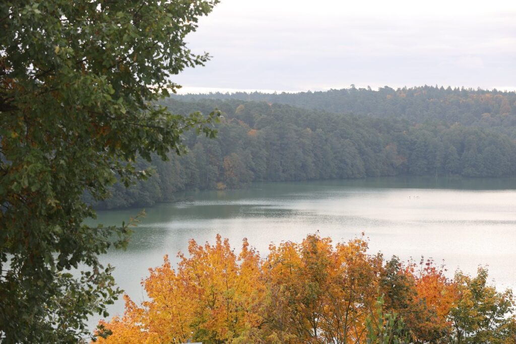 Konferencja z okazji 35-lecia Górznieńsko-Lidzbarskego Parku Krajobrazowego