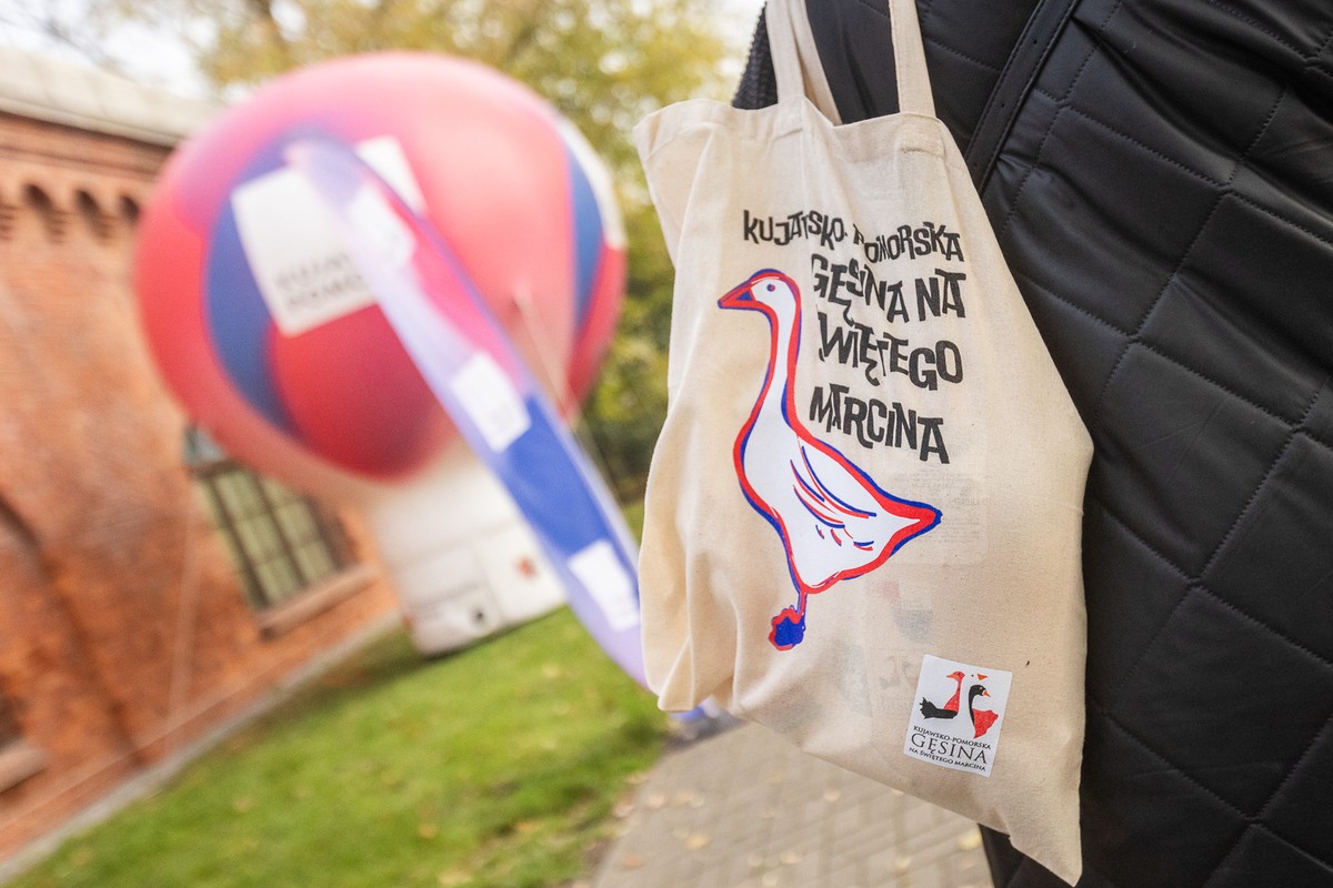 fot. Szymon Zdziebło/tarantoga.pl dla UMWKP